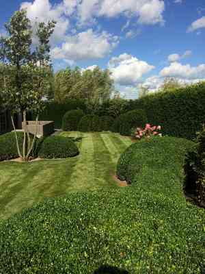 tuinaanleg-en-tuinonderhoud_brugge_Berkers_groenaanleg_7.jpg