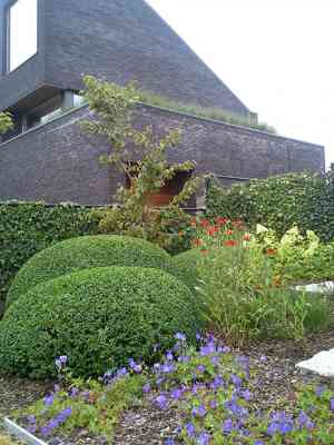 tuinaanleg-en-tuinonderhoud_brugge_Berkers_groenaanleg_6.jpg