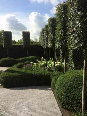 tuinaanleg-en-tuinonderhoud_brugge_Berkers_groenaanleg_4.jpg