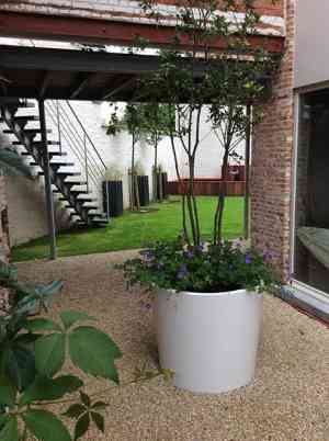 tuinaanleg-en-tuinonderhoud_brugge_Berkers_groenaanleg_3.jpg