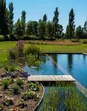 tuinaanleg-en-tuinonderhoud_damme_Watelle_Bvba_5.jpg