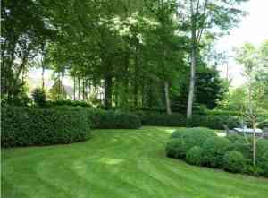 tuinaanleg-en-tuinonderhoud_lovendegem_Tuinen_&_Zwembaden_Ken_De_Vos_(kendevos.be)_7.jpg