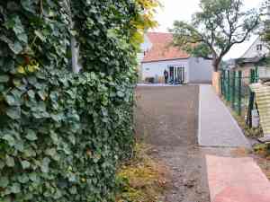 tuinaanleg-en-tuinonderhoud_dentergem_Vanhaverbeke_Koen_2.jpg