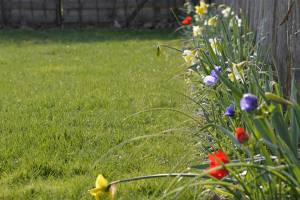 tuinaanleg-en-tuinonderhoud_deinze_Tuinen_J._Degryse_6.jpg