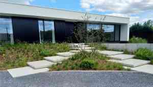 tuinaanleg-en-tuinonderhoud_nazareth_Buitenprojects_7.jpg