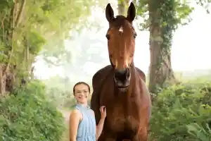 Diverse paardenfotoshoots.jpg