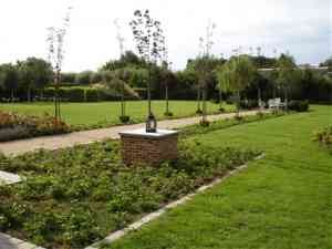 tuinaanleg-en-tuinonderhoud_kruishoutem_De_Clercq_Pieter_3.jpg