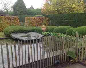 tuinaanleg-en-tuinonderhoud_dendermonde_Davy_Van_Aken_2.jpg