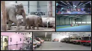 videograf_ludwigsburg_Agentur_STUMM-FILM_Dr._Rolf_Stumm_Medien_GmbH_7.jpg