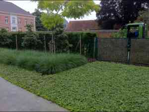 tuinaanleg-en-tuinonderhoud_zele_Tuinen_Janssens_3.jpg
