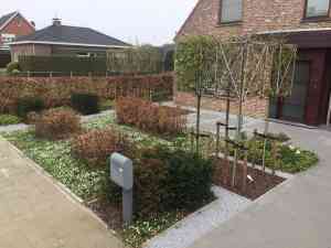 tuinaanleg-en-tuinonderhoud_kampenhout_Tuinaanleg_De_Smedt_Pascal_5.jpg