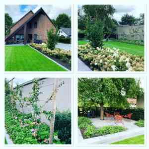tuinaanleg-en-tuinonderhoud_hamont-achel_Groendesign_Koen_Cox_2.jpg
