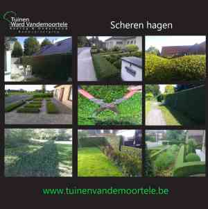 tuinaanleg-en-tuinonderhoud_wevelgem_Tuinen_Ward_Vandemoortele_2.jpg