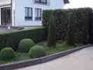 tuinaanleg-en-tuinonderhoud_hoogstraten_De_Roover_/_Yannick_5.jpg
