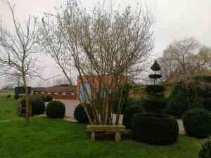 architect_heuvelland_Dreamgardening_4.jpg