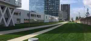 tuinaanleg-en-tuinonderhoud_stabroek_Infra_Groen_3.jpg