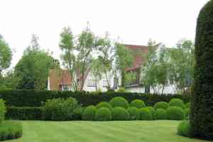 tuinaanleg-en-tuinonderhoud_knokke-heist_De_Tuinieker_2.jpg