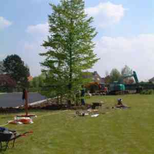 tuinaanleg-en-tuinonderhoud_kortrijk_Stefaan_Coucke_Landscape_4.jpg