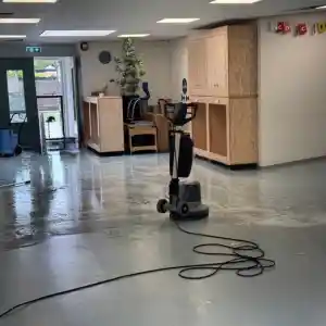 boomverzorging_harderwijk_TurboXC__2.jpg