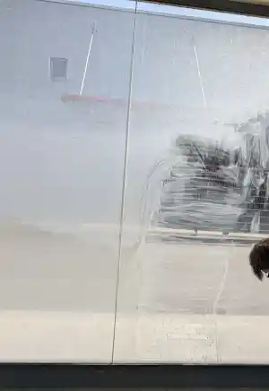 Glas- und Fensterreinigung.jpg