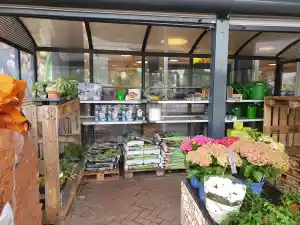 reinigungsfirma_stadecken-elsheim_P&B_Gebäudereinigung_7.jpg