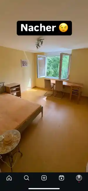 entrumpelung_frickenhausen_Geb.löwenstein_GbR_7.jpg