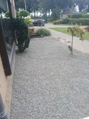 boomverzorging_dinteloord_Sunflower_Garden_6.jpg