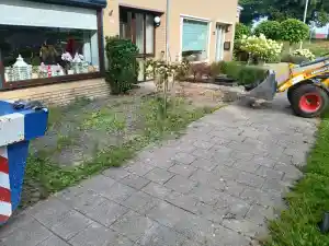 boomverzorging_dinteloord_Sunflower_Garden_5.jpg