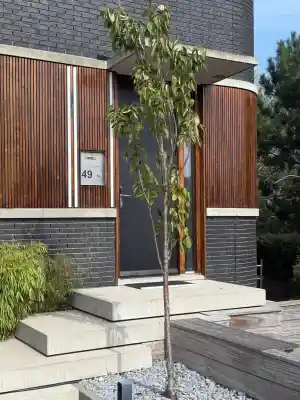 Het herstellen van hout en op nieuw doorzichtig lak.jpg