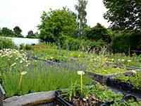 tuinaanleg-en-tuinonderhoud_mol_Jardinerie_Geys_/_Michel_5.jpg