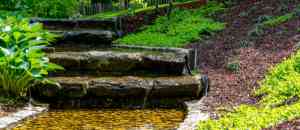 tuinaanleg-en-tuinonderhoud_laakdal-vorst_Tuinwerken_Hans_De_Temmerman_3.jpg