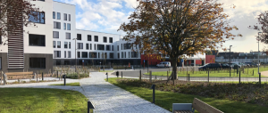 tuinaanleg-en-tuinonderhoud_oudenburg_Mahieu_nv_3.jpg