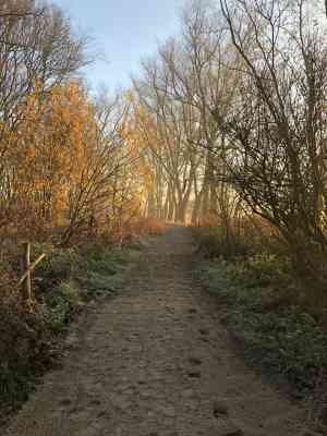 tuinaanleg-en-tuinonderhoud_oudenburg_Mahieu_nv_2.jpg