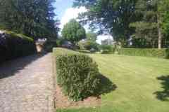 tuinaanleg-en-tuinonderhoud_zaventem_Heroes_Gardens_4.jpg
