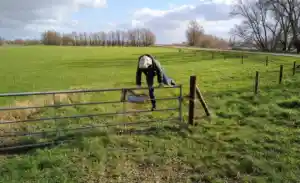 coaching_dodewaard_Lifelab_7.jpg