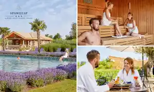 SpaWeesp.jpg