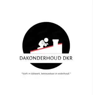 dakdekker_woerden_Dakonderhoud_DKR_2.jpg
