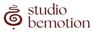 coaching_dordrecht_Studio_Bemotion_3.jpg