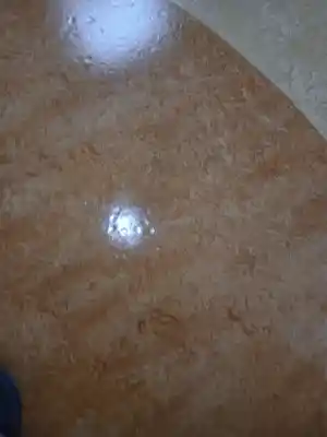 schoonmaakbedrijf_den-haag_GGC_Cleaning_B.V._4.jpg