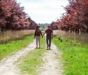 relatietherapeut_amersfoort_Bij_elkaar_blijven__5.jpg