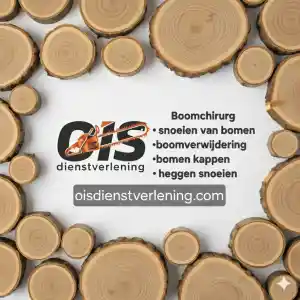 OIS dienstverlening .jpg