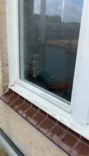 zonnepanelen_emmeloord_BlueComfort_6.jpg