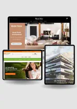 webdesign_hasselt-sint-lambrechts-herk_Brisk_Media_3.jpg