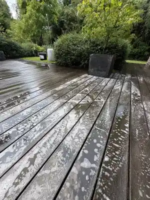 glazenwasser_gent_Ramenwasser_Ben_5.jpg