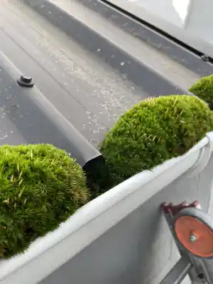 glazenwasser_gent_Ramenwasser_Ben_7.jpg