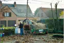 tuinaanleg-en-tuinonderhoud_herent_VDV_Tuinwerken_4.jpg