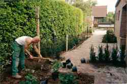 tuinaanleg-en-tuinonderhoud_herent_VDV_Tuinwerken_3.jpg