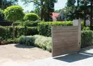tuinaanleg-en-tuinonderhoud_brecht_Eligans_2.jpg
