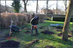 tuinaanleg-en-tuinonderhoud_kortrijk_Lukas_ameye_3.jpg