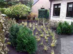 tuinaanleg-en-tuinonderhoud_zoersel_Goris_Jenthe_4.jpg